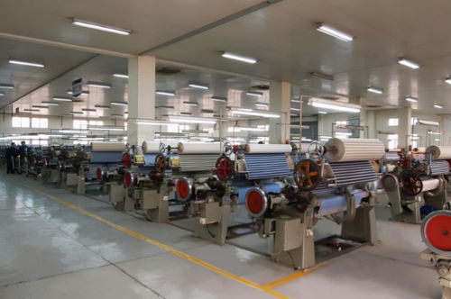 破浪前行 金轮针布业绩增长30%背后的多维驱动力