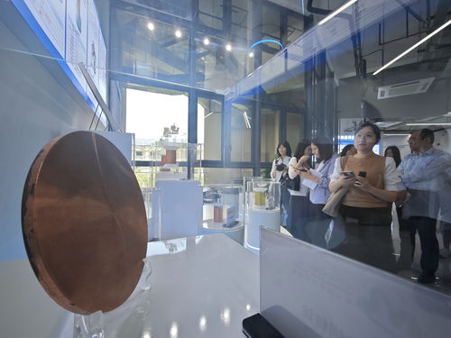 从实验室样品到市场爆品 松山湖材料实验室如何“孵化”35家产业化公司